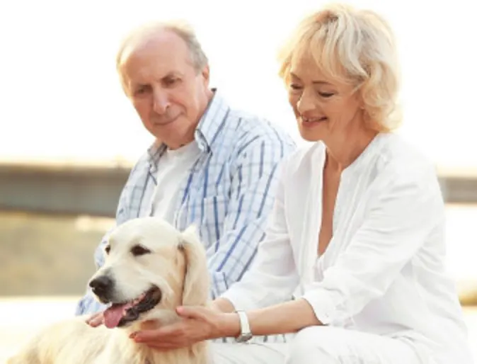 Senior couple with dog